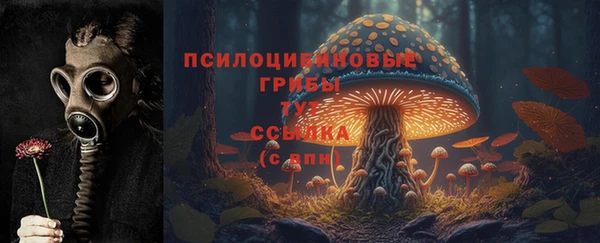 соль ск Армянск