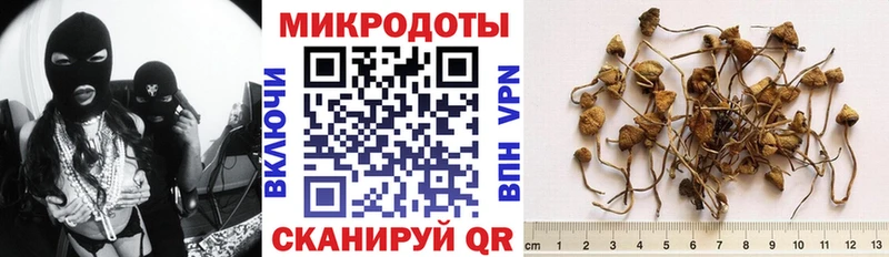 где можно купить   MEGA онион  Псилоцибиновые грибы прущие грибы  Усинск 